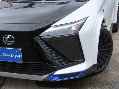 2024 Lexus RZ 照片 5