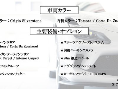 2018 Ferrari GTC4 LUSSO 照片 3