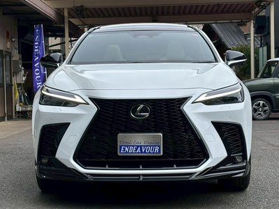 LEXUS NX - 7