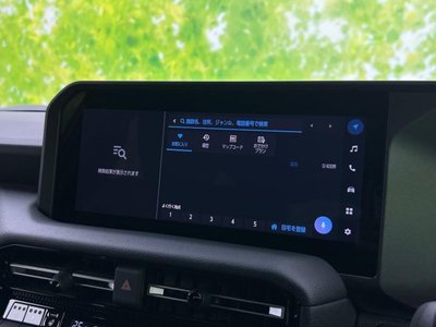 TOYOTA LAND CRUISER 250 - 9