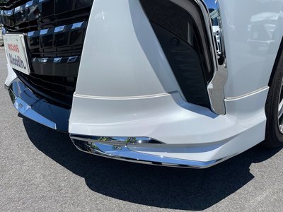 2025 Toyota ALPHARD — миниатюра 22