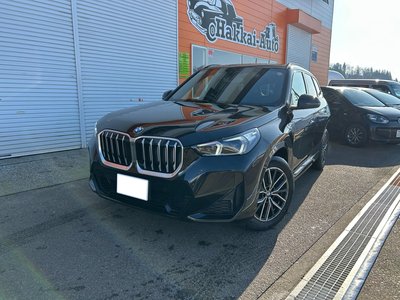 BMW X1 - 1