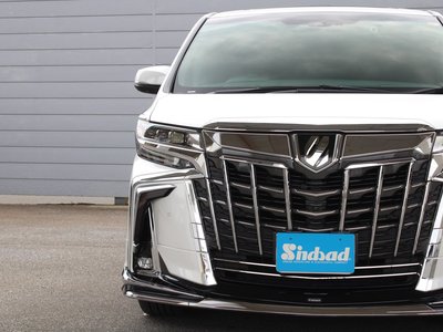 2019 Toyota ALPHARD — миниатюра 26