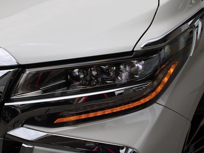 2019 Toyota ALPHARD — миниатюра 19