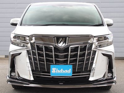 2019 Toyota ALPHARD — миниатюра 22