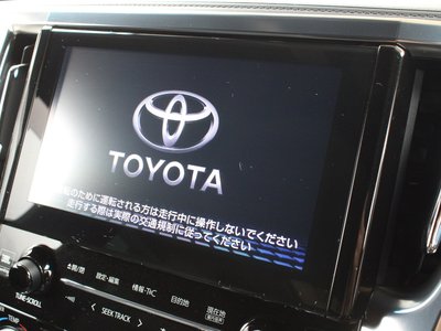 2019 Toyota ALPHARD — миниатюра 15