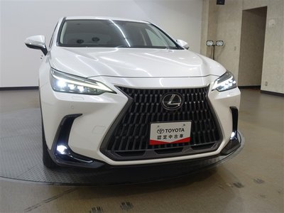 2023 Lexus NX — миниатюра 32