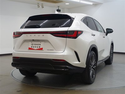 2023 Lexus NX — фото 8