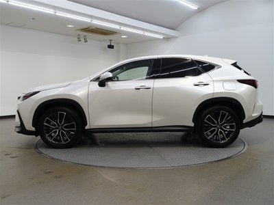 2023 Lexus NX — фото 7