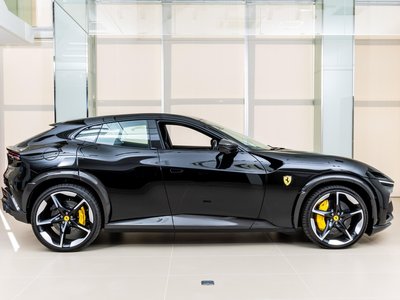 FERRARI PUROSANGUE - 7