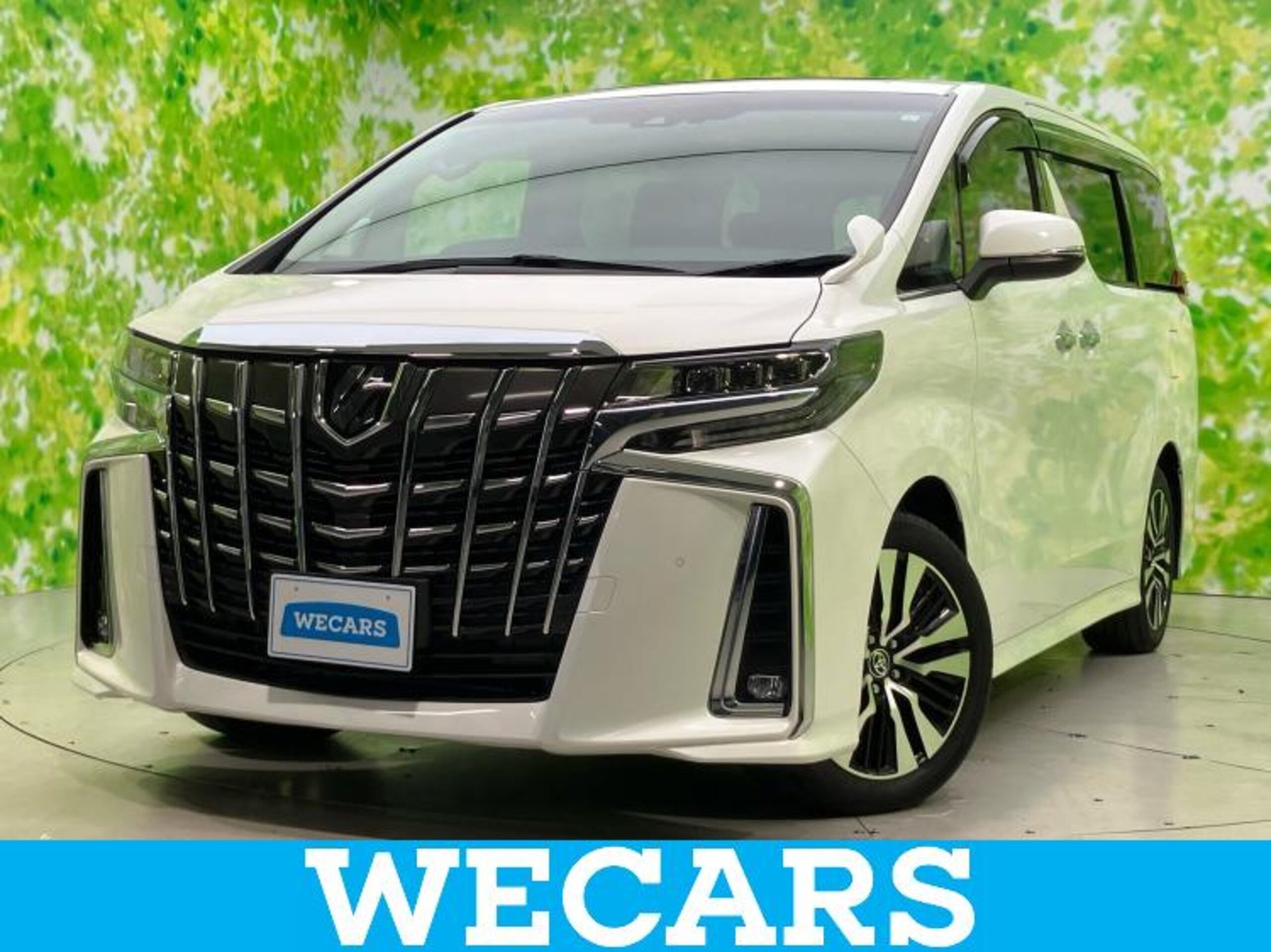 TOYOTA ALPHARD - View 1