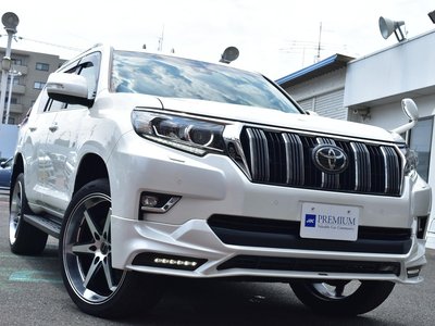 2021 Toyota LAND CRUISER PRADO — фото 6