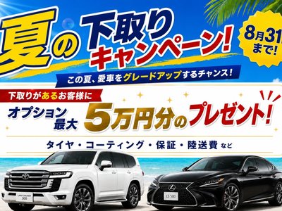 2021 Toyota LAND CRUISER PRADO — фото 2