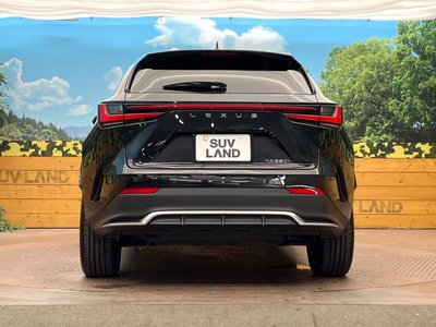 2024 Lexus NX 缩略图 15