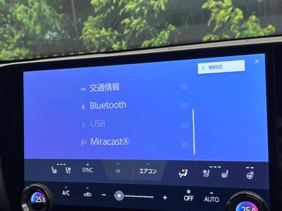 2024 Lexus NX 缩略图 60
