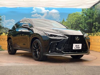 2024 Lexus NX 缩略图 16