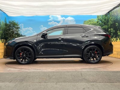 2024 Lexus NX 缩略图 30