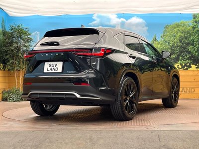 2024 Lexus NX 缩略图 17