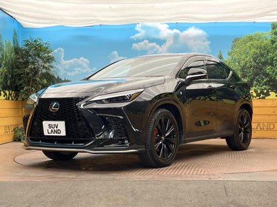 2024 Lexus NX 缩略图 27