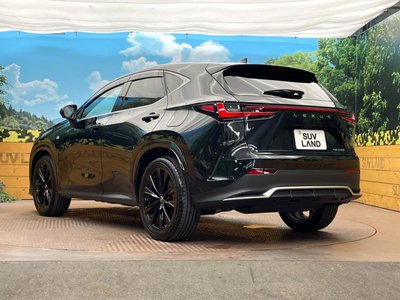 2024 Lexus NX 缩略图 29