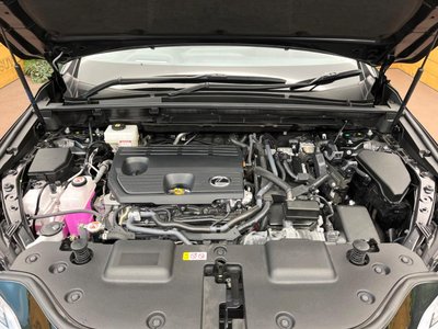 2024 Lexus NX 缩略图 18