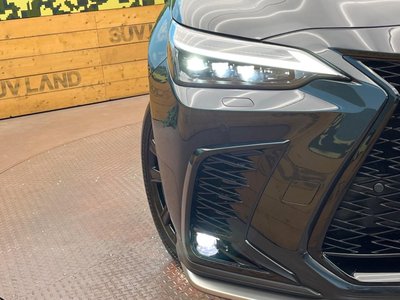 2024 Lexus NX 缩略图 12