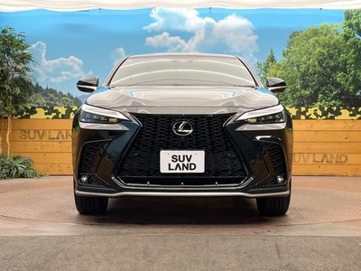 2024 Lexus NX 缩略图 14