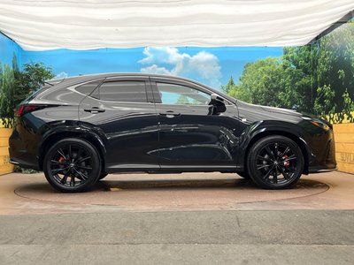 2024 Lexus NX 缩略图 28