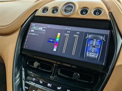 2021 Aston Martin DBX 照片 10