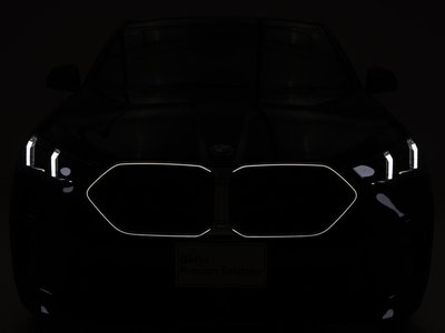 2025 BMW X2 — миниатюра 23