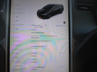 2019 Tesla MODEL X — фото 10