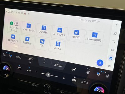 2025 Toyota ALPHARD 缩略图 50
