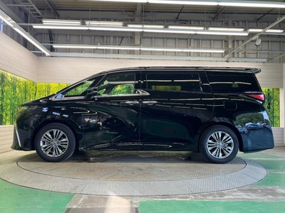2025 Toyota ALPHARD 缩略图 55