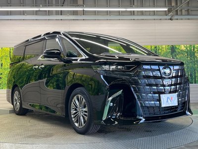 2025 Toyota ALPHARD 缩略图 53
