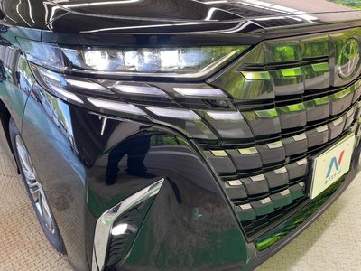 2025 Toyota ALPHARD 缩略图 66
