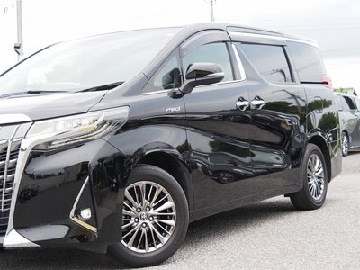2021 TOYOTA ALPHARD thumbnail 11