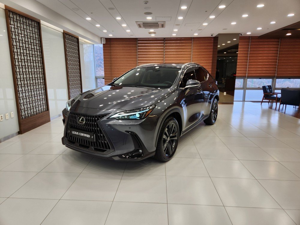 LEXUS NX - View 1