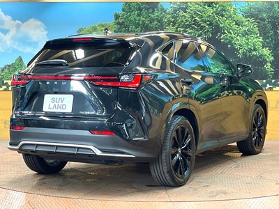2025 Lexus NX — миниатюра 17