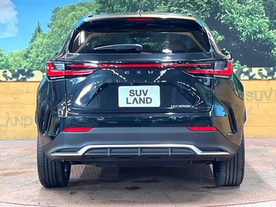 2025 Lexus NX — миниатюра 15