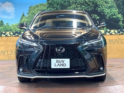 2025 Lexus NX — миниатюра 14