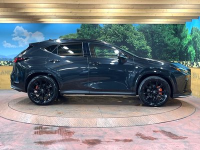 2025 Lexus NX — миниатюра 64
