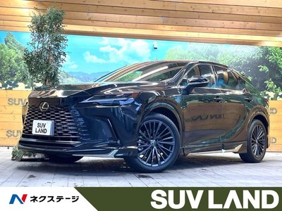 LEXUS RX - 1