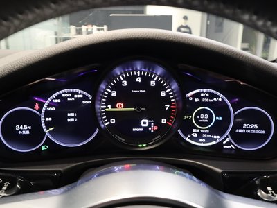 2020 Porsche PANAMERA 缩略图 36