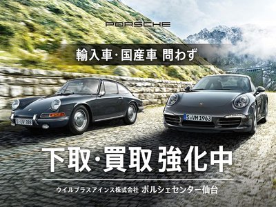 2020 Porsche PANAMERA 缩略图 51