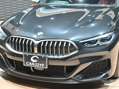 2020 BMW 8 SERIES GRAN COUPE 缩略图 31