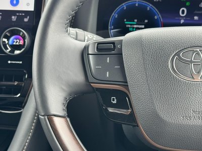 2025 Toyota ALPHARD — миниатюра 55