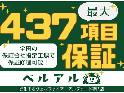 Thumbnail 35