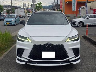 2023 Lexus RX photo 1