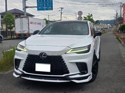 2023 Lexus RX photo 3
