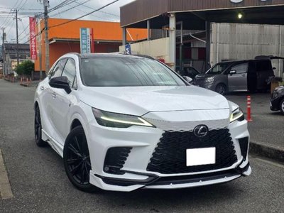 2023 Lexus RX photo 2